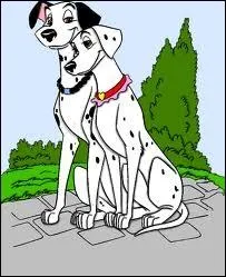 Il existe de vraies recettes de philtres d'amour, pures recettes plaisir pour veiller les sens avant l'assaut final... Dans toutes les versions, on trouve une certaine pice,  votre avis, laquelle ?