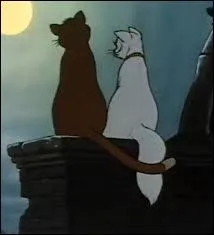 Gardez en mmoire que tout est jeu et imagination. Et qu'on peut aussi dguster toutes sortes de choses  mme la peau, pratique qu'on nomme. . ?