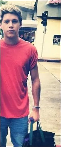 Niall est le seul ... du groupe.