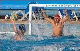 Au water-polo, il y a 3 plots : un jaune, un rouge, et videmment un blanc pour marquer le milieu de terrain. Que dmontre le plot rouge ?