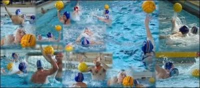 Dimension d'un terrain Elite Masculin et Fminin + Espoir :