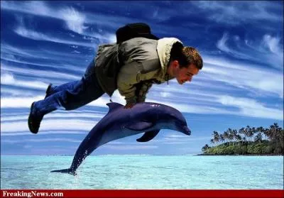 Le dauphin peut mettre en rserve une grande quantit d'oxygne dans ses poumons pour alimenter sa nageoire caudale ultra-puissante. Mais combien de fois plus d'air que l'humain ?