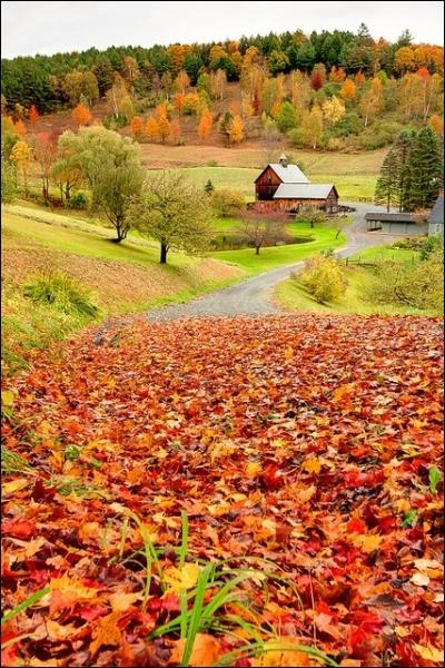 Avant l'hiver, la nature offre le flamboyant spectacle de l'automne, sa lumire douce et dore, la couleur des feuillages. Comment les qubcois appellent-ils familirement cette saison ?