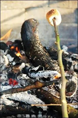 Mme si l'on peut dguster cette friandise  tout moment, le fait de la faire griller doucement alors qu'il commence  faire plus froid est un petit bonheur visuel et olfactif. De quoi s'agit-il ?