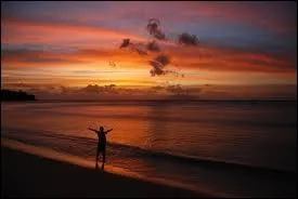 Dans quelle chanson de Goldman peut-on entendre " et même s'il faut partir, changer de terre ou de trace, s'il faut chercher dans l'exil l'empreinte de mon espace... " ?