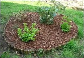 Qu'est-ce que la terre de Bruyre ?