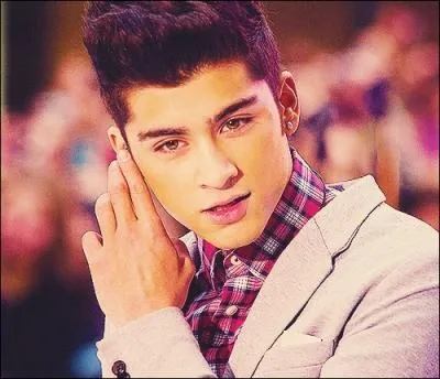 Comment surnomme-t-on Zayn' ?