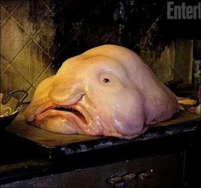 Quelle est cette crature visqueuse ?