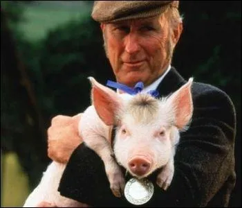 Pour le premier  Babe  il y a eu� :