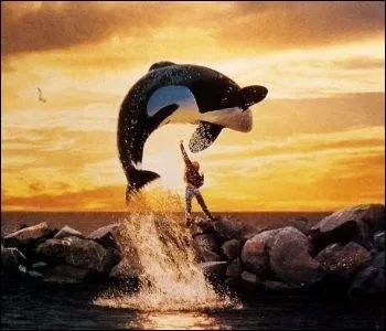 L'orque de  Sauvez Willy  a fini sa vie� :