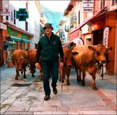 Dans quelle ville franaise ce week-end, plus de sept cents btes vont parader dans les rues du centre ville pour la fte de la dmontagne ?