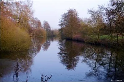 Soyons ralistes, ce mouvement cherche  faire concurrence   l'tat-civil  : l'art doit tre un reflet de la nature, selon -------.