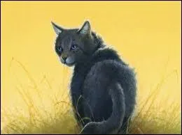 Qui a dit :  Fais confiance  Croc Jaune. Elle aidera Nuage Cendr  surmonter cette preuve.   ?