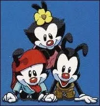 Dans quelle srie d'animation voit-on les frres Yakko et Wakko accompagns de leur soeur Dot ?