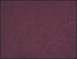 Quel est le nom de cette couleur ?