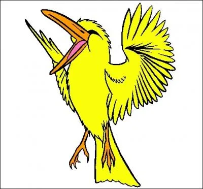 Nosotros volamos y a veces nos acercamos a la gente en las plazas para picotear miguitas de pan... parce que nous avons un bec, ce qui fait que nous appartenons à la famille des oiseaux, eh oui ! (2 noms)