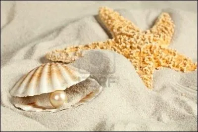 Qu'est-ce qui colore et texture le sable ?