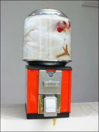 Recette  base de poule qui tient son nom de son mode de cuisson galement.