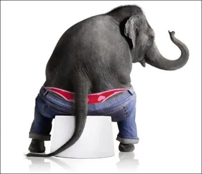 Il cre la polmique en 2006 quand il est  apparent  dans l'enceinte des lyces et collges pour Sgolne Royal.