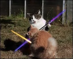 Quel est le titre du film, dernier ralis et troisime opus sur six de cette double trilogie ?