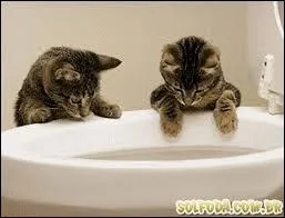 Deux films pour cette mini saga splologique et fantastique. 