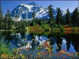 Vous tes bon joueur, et si vous n'avez pas su rpondre aux questions de ce quiz :