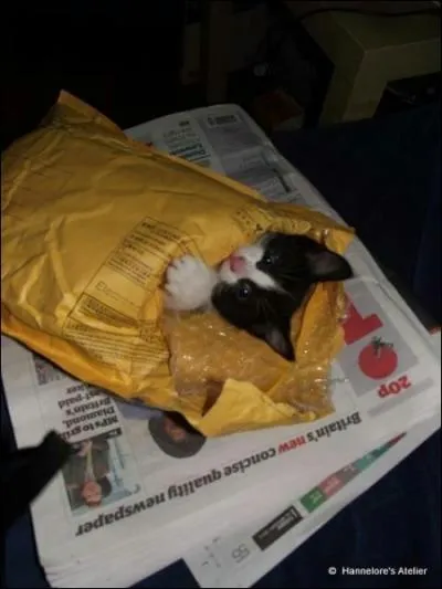 Mode d'envoi du courrier qui permet d'avoir un rcpiss actant sa remise en main propre  son destinataire.