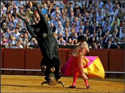 Mise  mort thtralise dans une arne par un matador et tradition trs controverse actuellement.