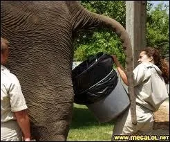 Quel concours annuel existe rellement ?