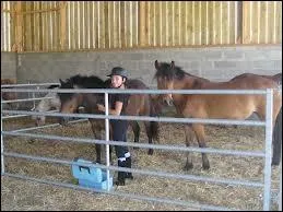 Et a, qu'est-ce donc encore ?