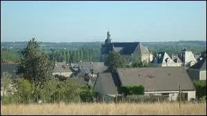 A votre avis, quel est le nom des habitants de Rochefort-sur-Loire ?