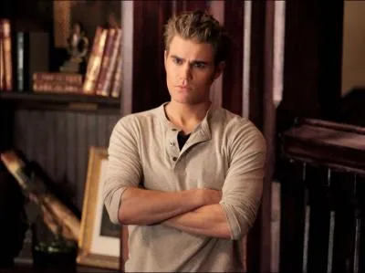 Que fait Stefan pour convaincre Klaus de faire partir ses hybrides ?