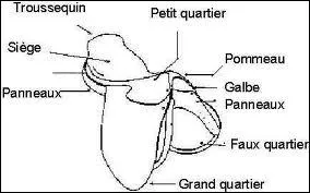 Qu'est-ce qui n'est pas dans la selle ?