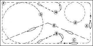 Qu'est-ce qui n'est pas une figure de mange ?