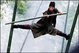 Quel est ce film chinois trs esthtique ?