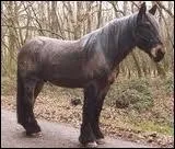 Quelle est cette robe ?