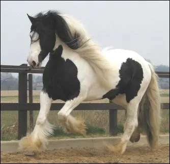 Quelle est cette robe ?