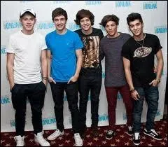 Les One Direction seront en France le 12 novembre 2013.