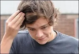 Harry s'est fait arrter  la mi-octobre 2012 parce qu'il avait fait un excs de vitesse pour chapper  des paparazzi.