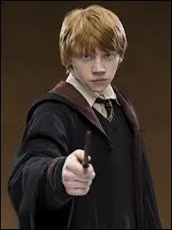Rupert Grint joue un rle, il est :