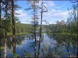 Quel fleuve long de 4 440 km spare la Russie de la Chine du Nord Est ?