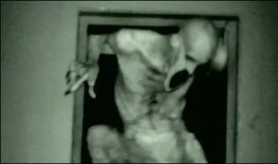 Quel nom porte ce film d'horreur sorti en 2012 ?