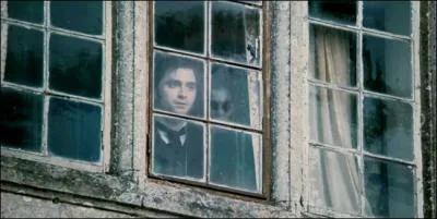 Quel nom porte ce film d'horreur sorti en 2012 ?