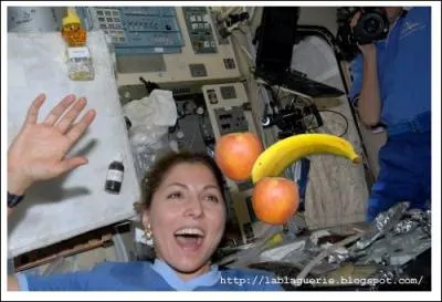 Que se passe-t-il lors d'un vol en apesanteur avec une gravit de zro ?