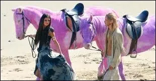 Quelles sont ses robes ?