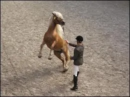 Ses disciplines sont plutt ...