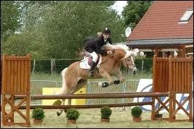 Il est plutt utilis en ...