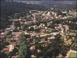 Quel est le nom des habitants de Lamalou-les-Bains ?