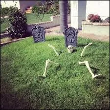 Comment tranformer votre jardin en un lieu trs angoissant, grce  quelques os judicieusement placs, ainsi on se croira... ?