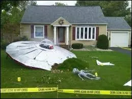 Quand on a de trs gros moyens et une bonne motivation, on peut aussi comme ici dcorer son jardin... ?